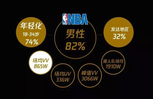 明日NBA大小分预测分析，数据洞察与赛场博弈