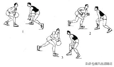 篮球基本功训练是什么，从底层逻辑到实战应用的全景解析