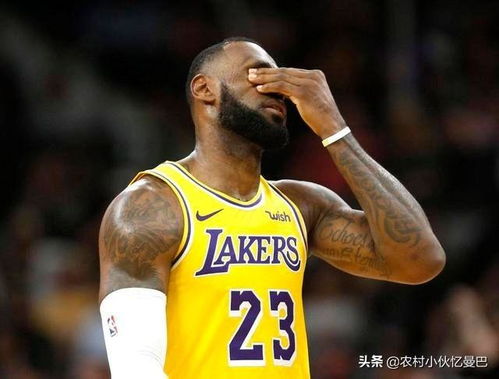湖人新任主教练概率榜，谁将执掌紫金军团的教鞭？