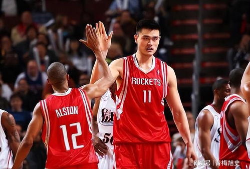 姚明NBA总决赛是哪一年？回顾姚明的NBA巅峰征程