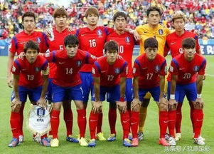 2018世界杯韩国队排名解析，从小组出局看亚洲足球的挑战与希望