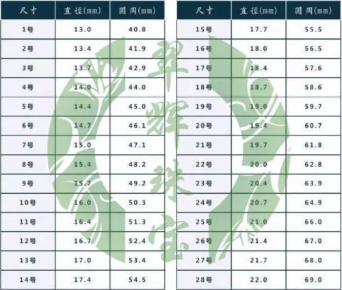选对尺码，踢出风采，一份详尽的足球服尺码表选购指南
