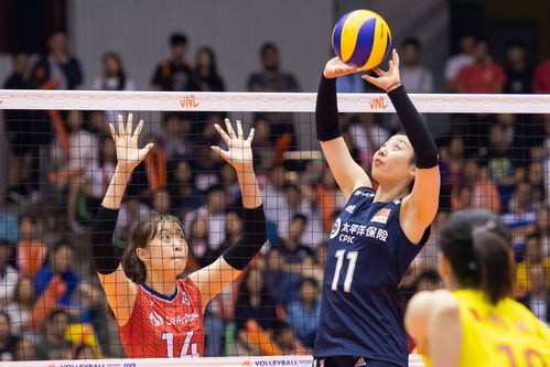 从发球到决胜局，国际排联官方排球规则全解析
